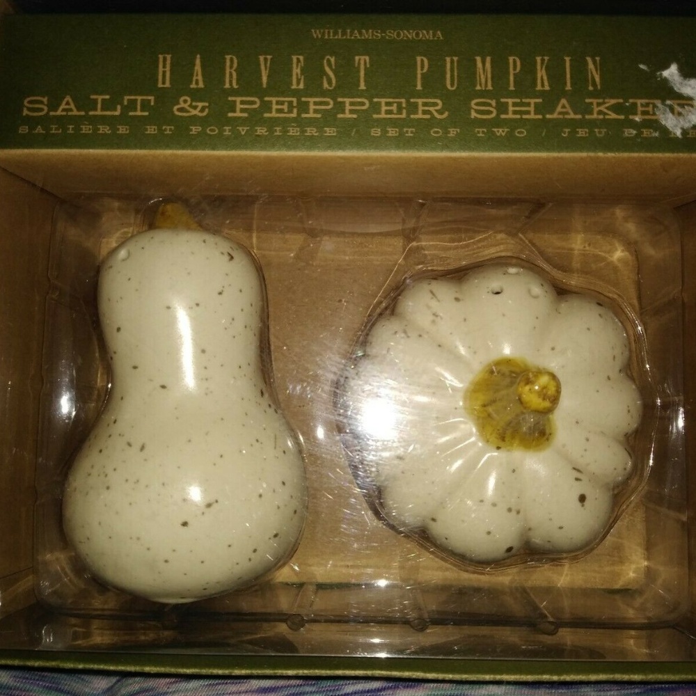 NEW WillIams Sonoma Harvest Pumpkin Salt & Pepper